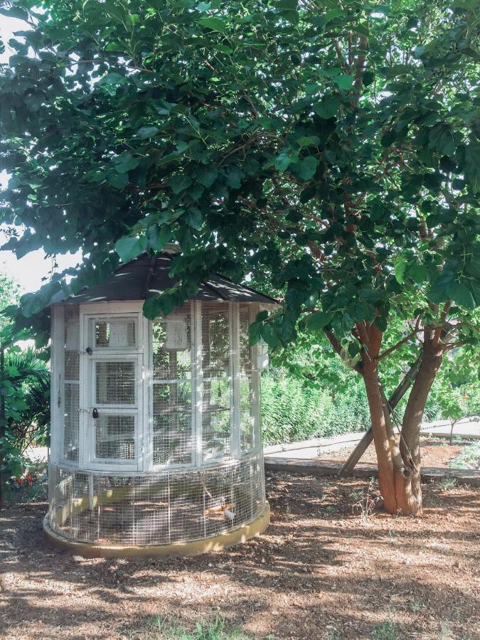 Agrilia Maison Razáta Esterno foto